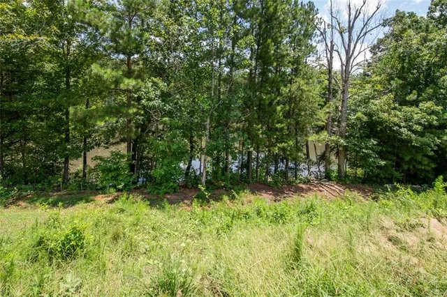 $3,000 | 3760 Lindsy Brooke Court, Douglasville, GA 30135