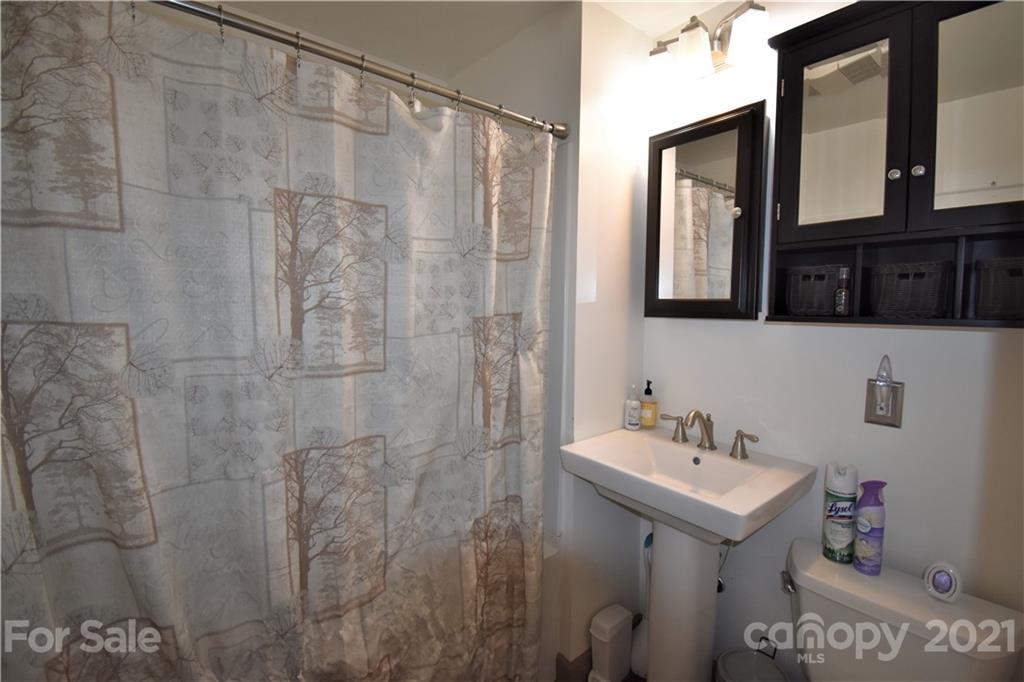 73 Dillingham Road Asheville, NC 28805 - Photo 11 of 35 Gallery Image 11