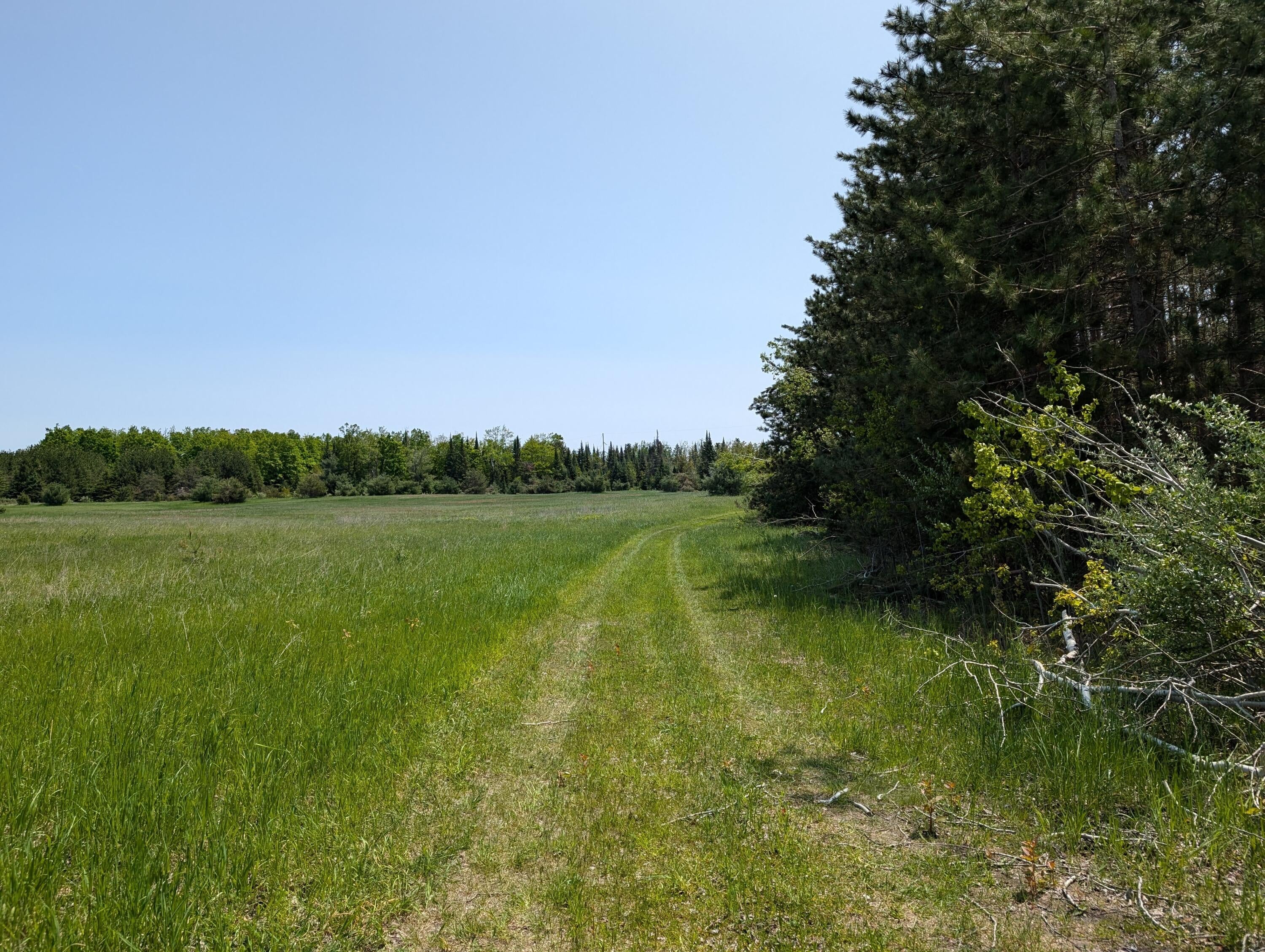 11179 Hossler Road Atlanta, MI 49709 - Photo 71 of 100 PXL_20250601_172827198