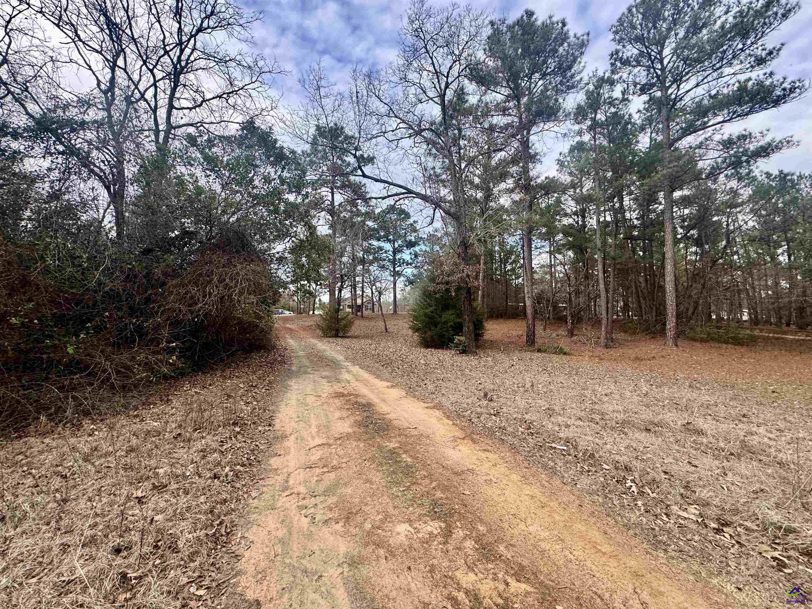 1885 Richardson Mill Road Fort Valley, GA 31030 - Photo 2 of 37