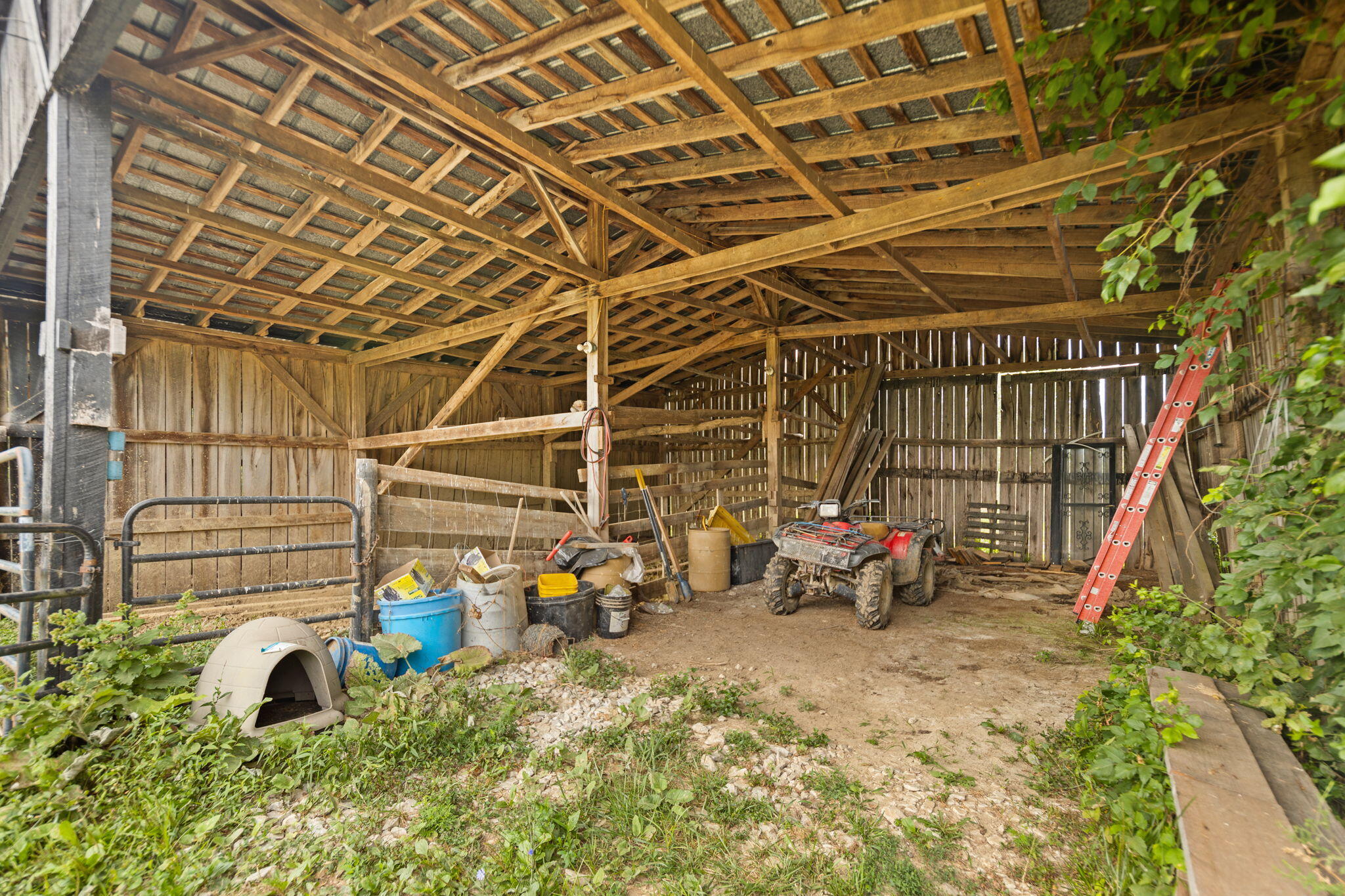 2359 Cane Run Road Carlisle, KY 40311 - Photo 19 of 75 4-web-or-mls-118A4715