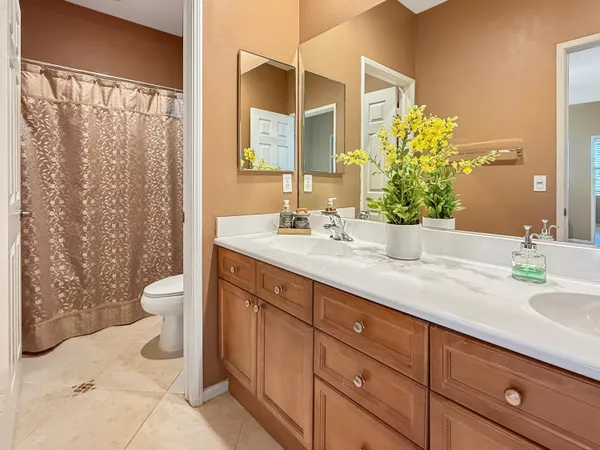 an aerial view of a house with a yard and potted plants