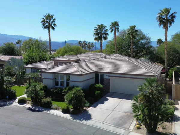 a dining room with furniture potted plants and wooden floor