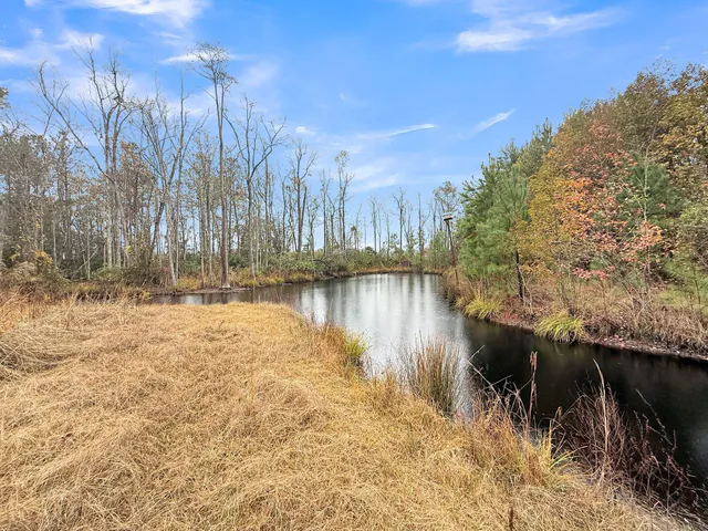 $575,000 | 1613 Cavanaugh Road, Walterboro, SC 29488