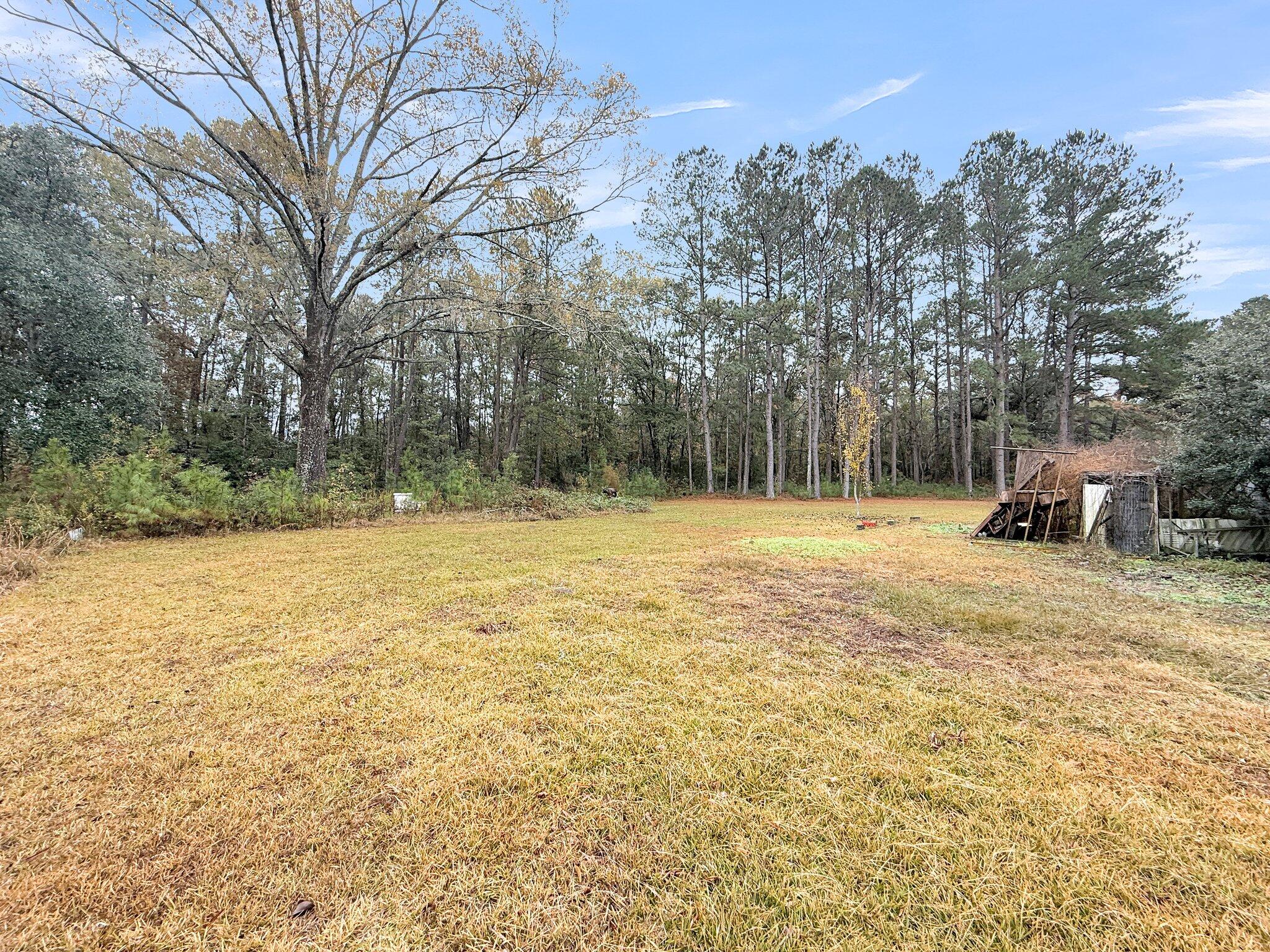 1613 Cavanaugh Road Walterboro, SC 29488 - Photo 5 of 31 CREM - 1613 Cavanaugh Rd-5