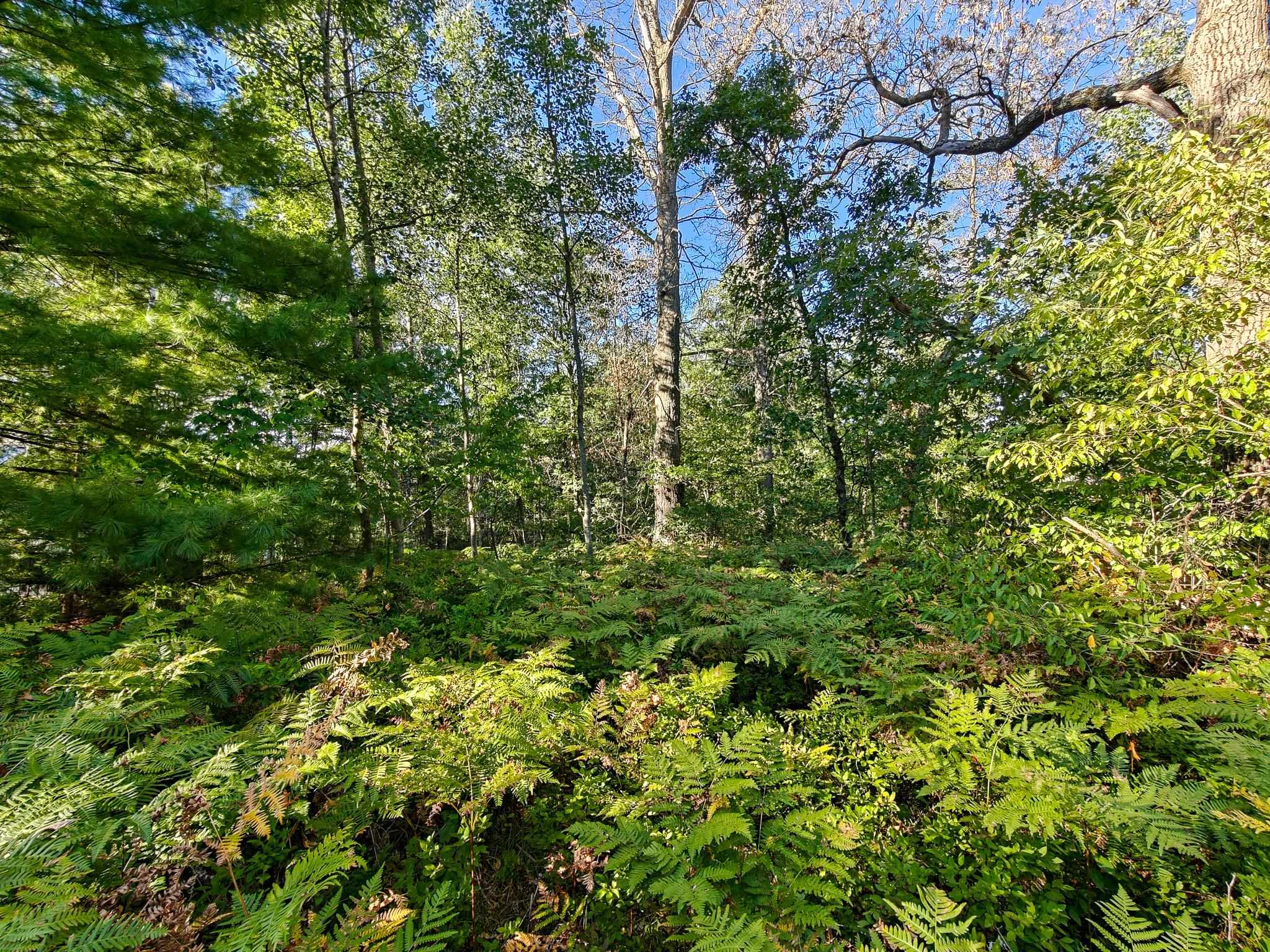 2541 Beatrice Road Harrison, MI 48625 - Photo 34 of 47 Gallery Image 34