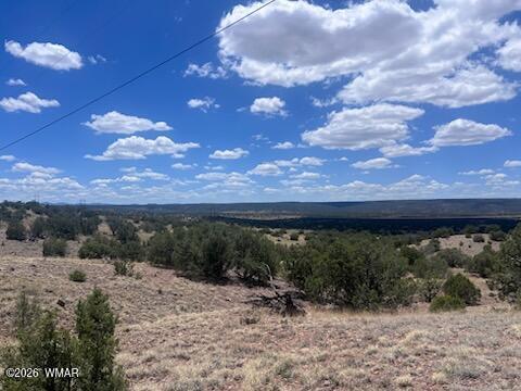 41 Indian Drive Concho, AZ 85924 - Photo 1 of 26 Borders State Land