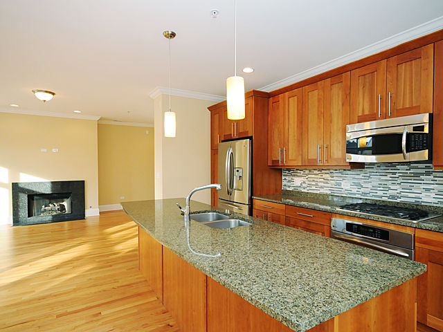 1323 Maple Avenue, Unit 3NW Evanston, IL 60201 - Photo 4 of 16
