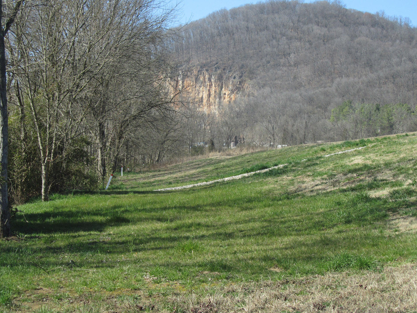 Lot 8 Cherokee Explosives Road, Unit 8 Rutledge, TN 37861 - Photo 11 of 13 11