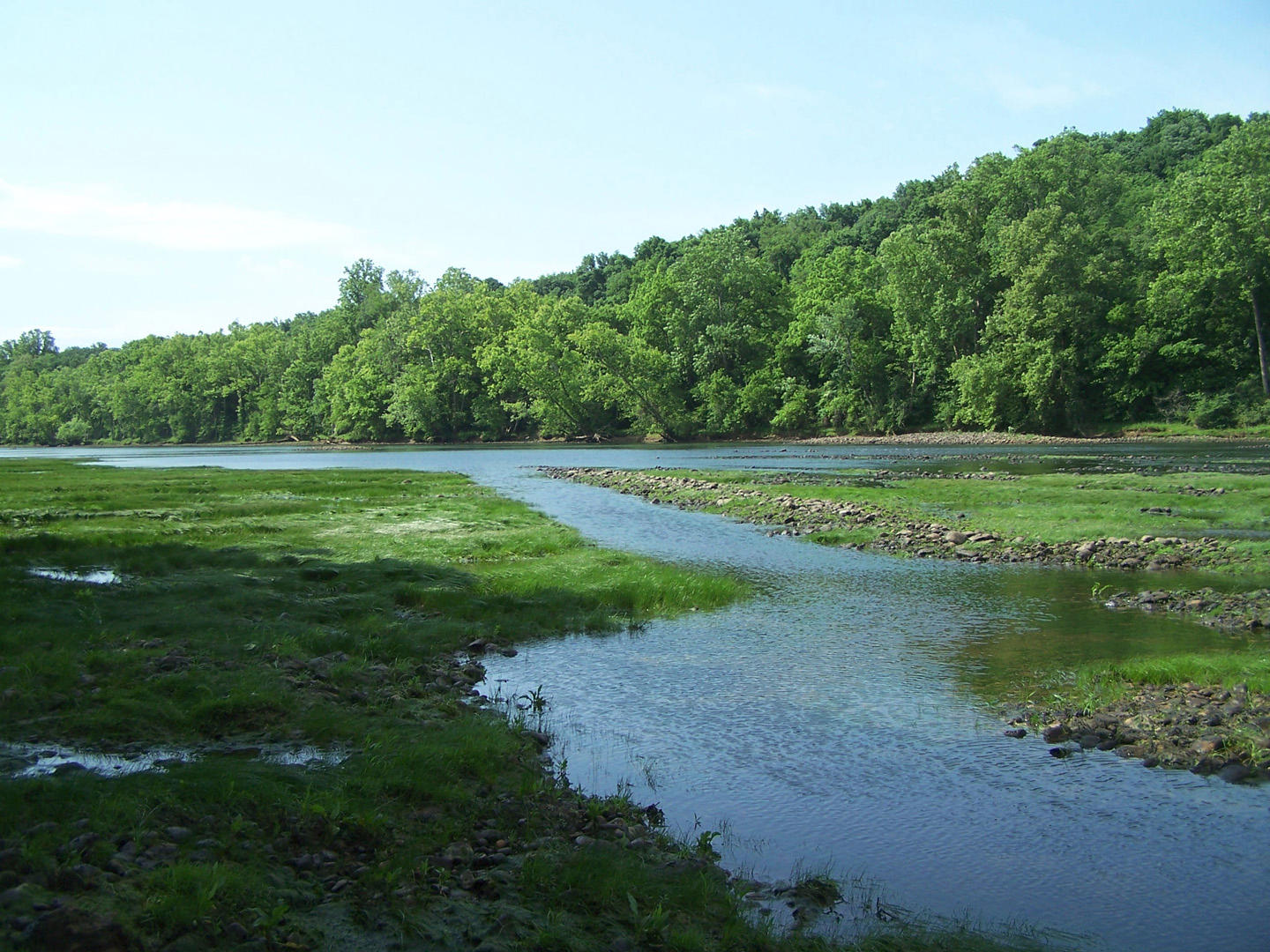 Lot 8 Cherokee Explosives Road, Unit 8 Rutledge, TN 37861 - Photo 4 of 13 4