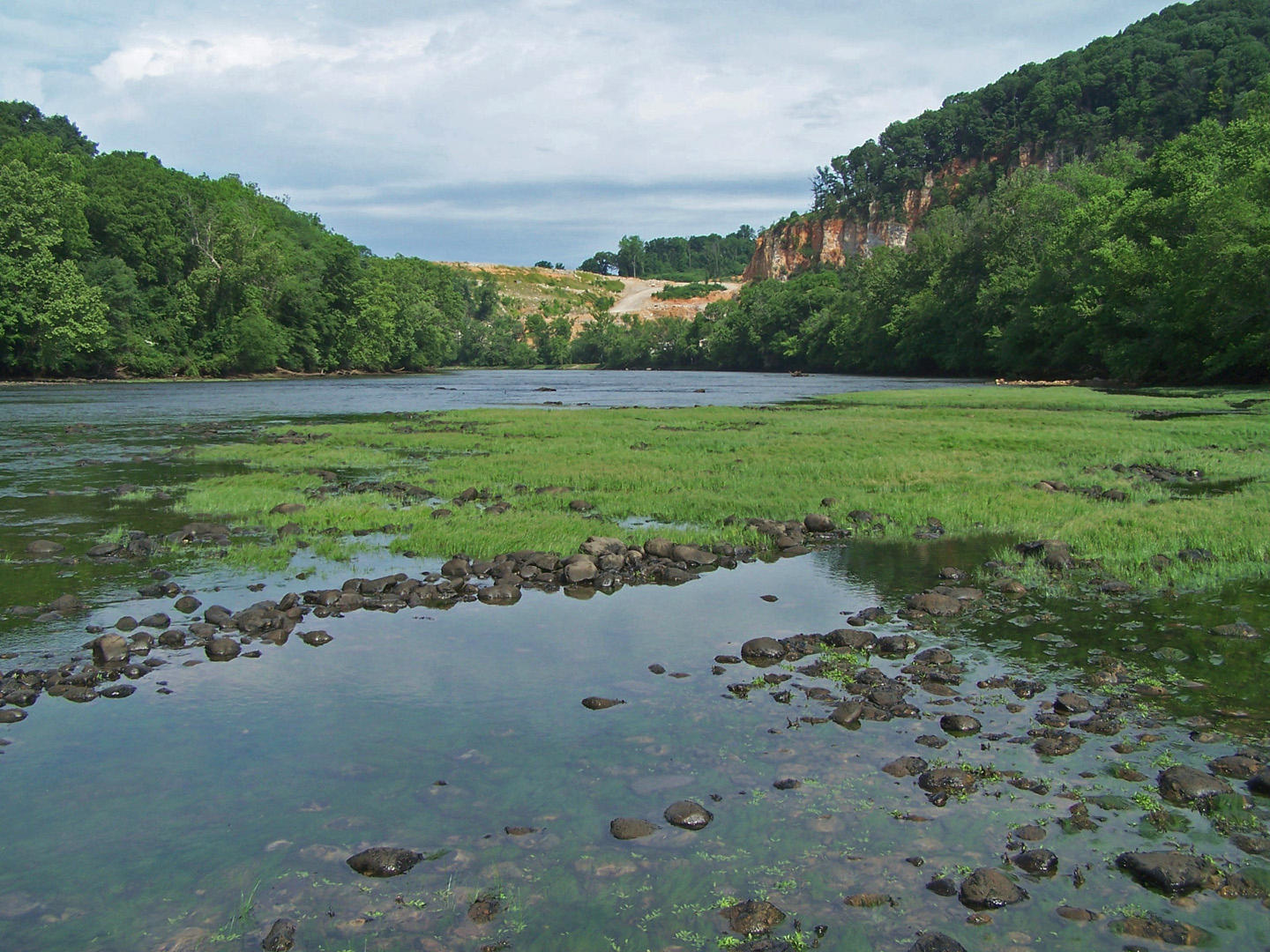 Lot 8 Cherokee Explosives Road, Unit 8 Rutledge, TN 37861 - Photo 7 of 13 7