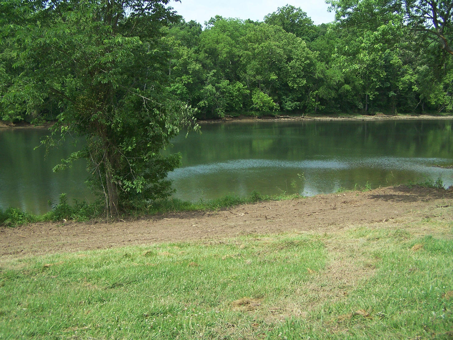 Lot 8 Cherokee Explosives Road, Unit 8 Rutledge, TN 37861 - Photo 9 of 13 9