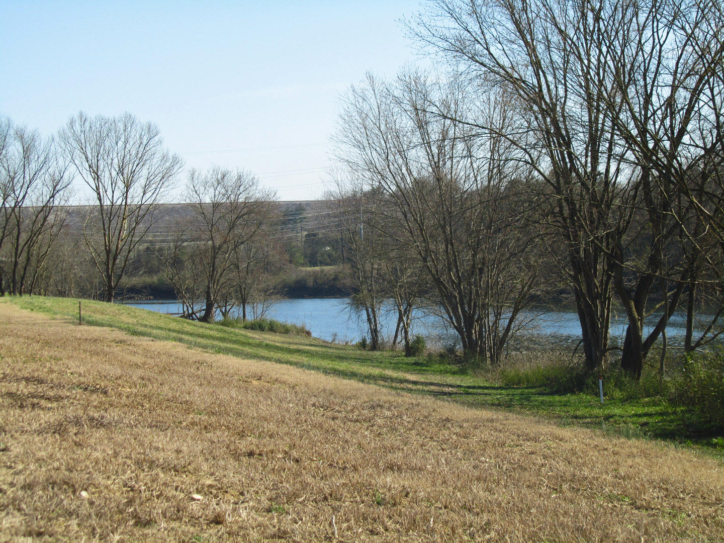 Lot 8 Cherokee Explosives Road, Unit 8 Rutledge, TN 37861 - Photo 10 of 13 10