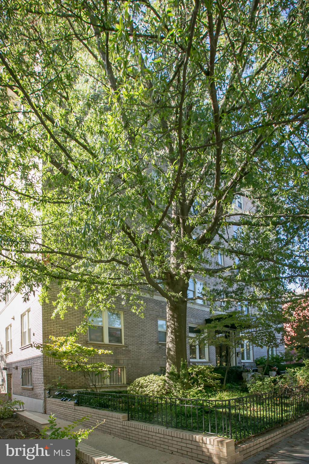 1916 17th Street Northwest, Unit 2 Washington, DC 20009 - Photo 20 of 24 Exterior (General)