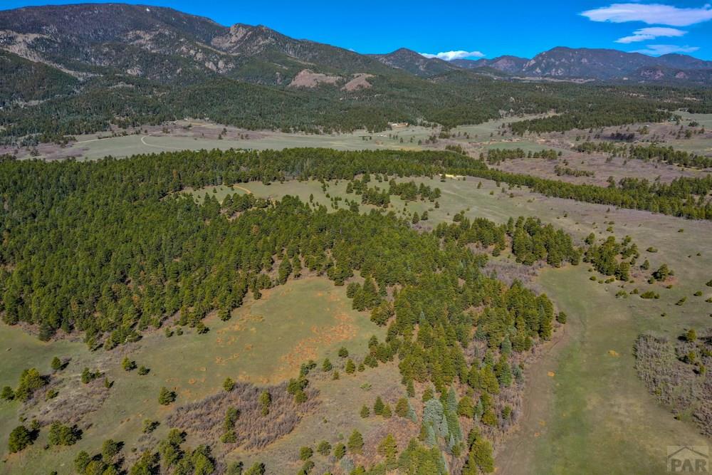 8675 State Highway Rye, CO 81069 - Photo 8 of 75