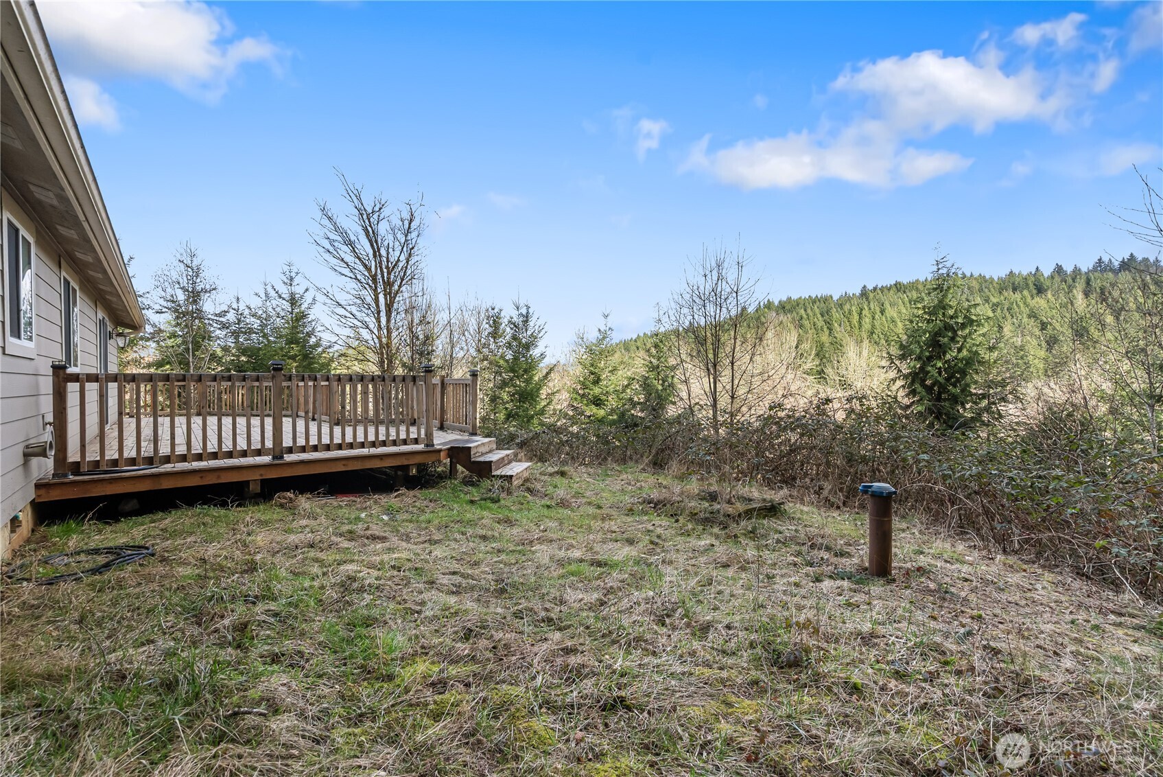159 Salzer Road Centralia, WA 98531 - Photo 22 of 40 a view of a yard with large trees