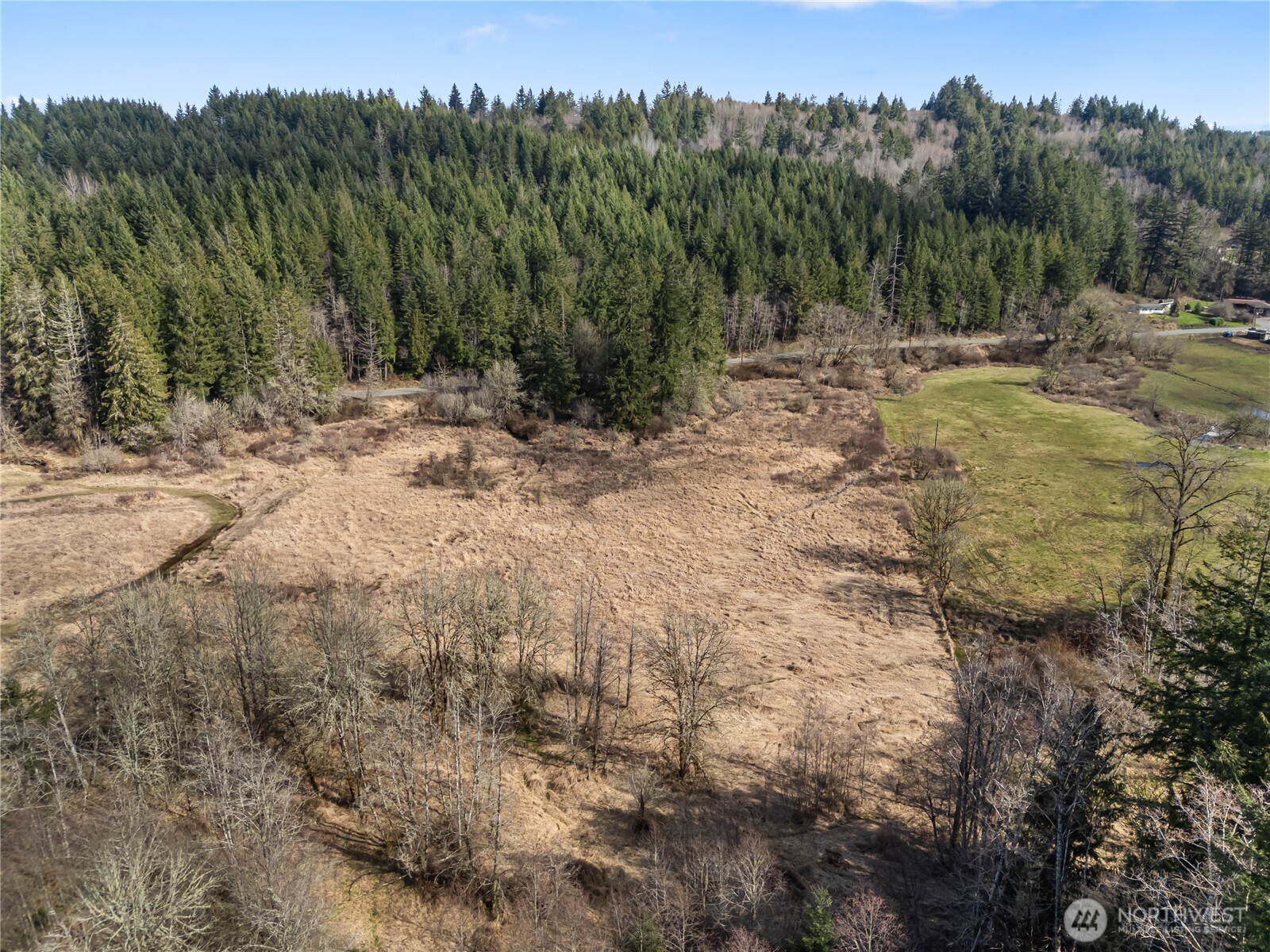 159 Salzer Road Centralia, WA 98531 - Photo 30 of 40 a view of a yard with a tree