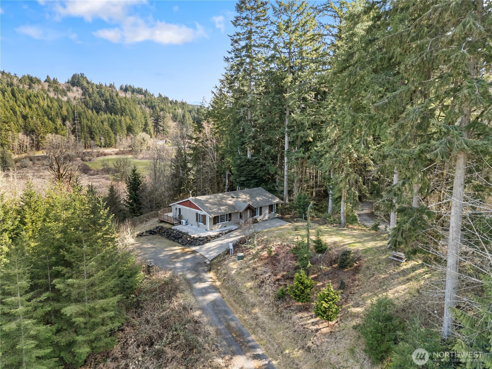 159 Salzer Road Centralia, WA 98531 - Photo 31 of 40 a view of a forest with a bench