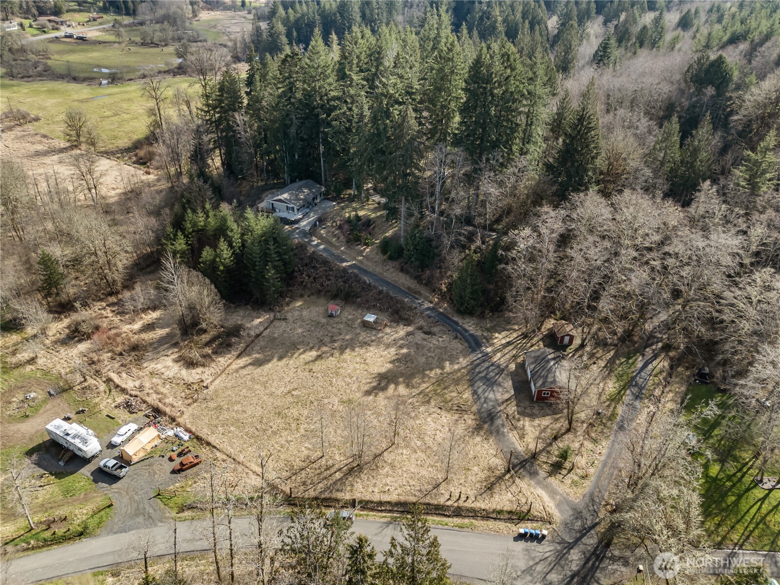 159 Salzer Road Centralia, WA 98531 - Photo 32 of 40 a view of a yard with plants and large trees
