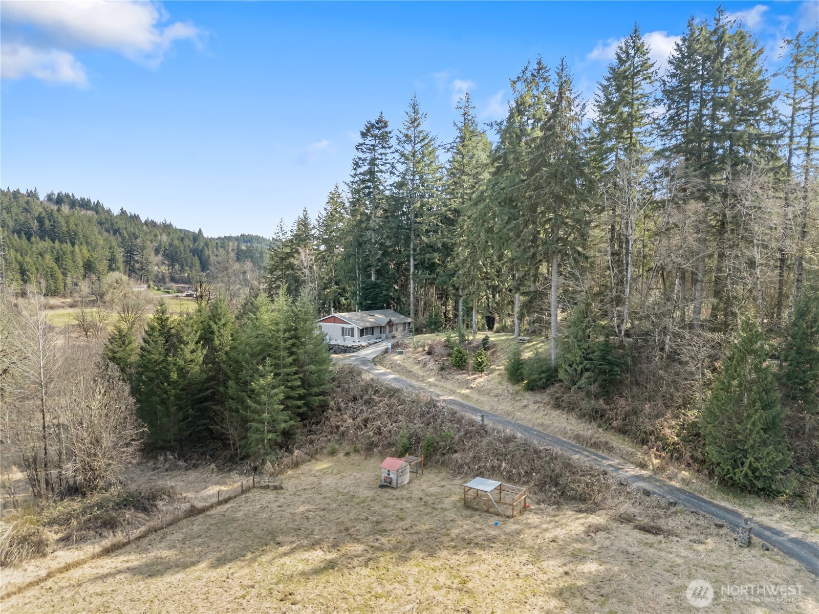 159 Salzer Road Centralia, WA 98531 - Photo 40 of 40 a view of a forest with trees in the background