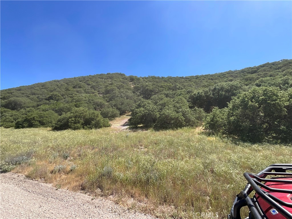 a view of a yard with mountain