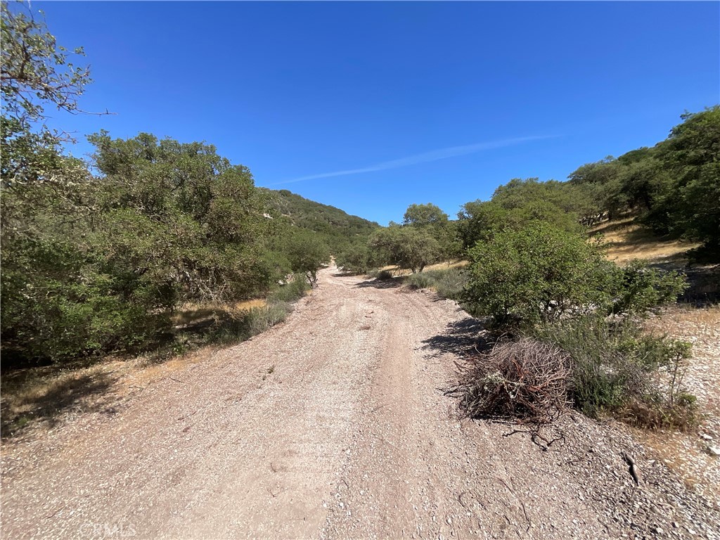 105 Paulsen Road King City, CA 93930 - Photo 20 of 25 a view of a road with mountain view