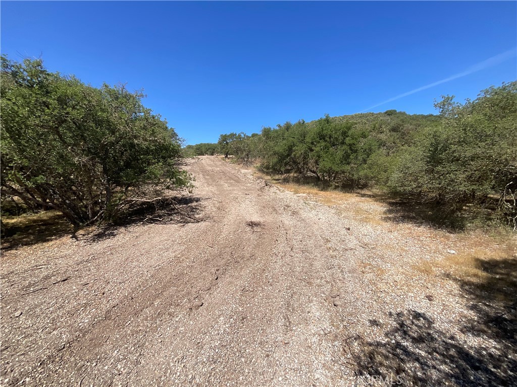 105 Paulsen Road King City, CA 93930 - Photo 21 of 25 a view of a dry yard with mountains in the background