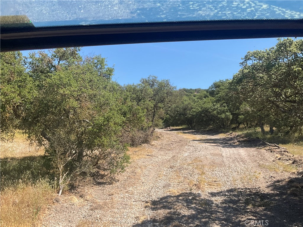 105 Paulsen Road King City, CA 93930 - Photo 23 of 25 a view of a yard with an outdoor space