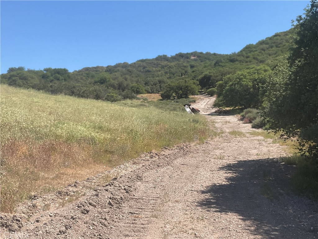 105 Paulsen Road King City, CA 93930 - Photo 25 of 25 a view of a dry yard with mountains in the background