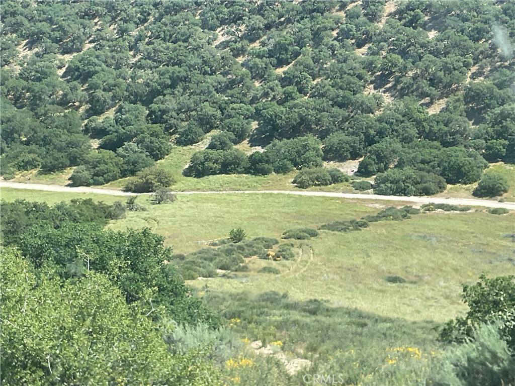 105 Paulsen Road King City, CA 93930 - Photo 3 of 25 a view of a field with a tree