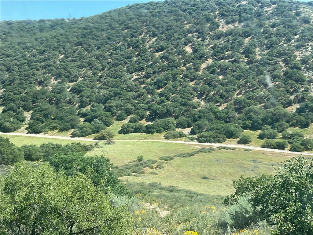 105 Paulsen Road King City, CA 93930 - Photo 4 of 25 a view of a field with a tree in the background