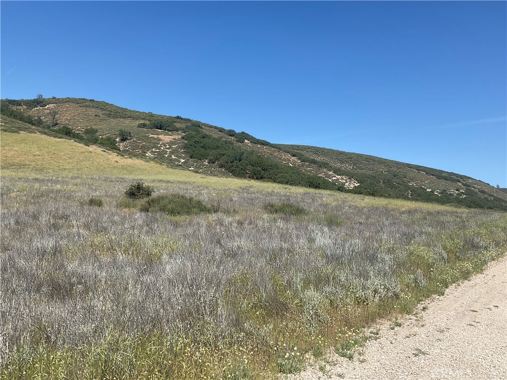 105 Paulsen Road King City, CA 93930 - Photo 5 of 25 a view of mountain with trees