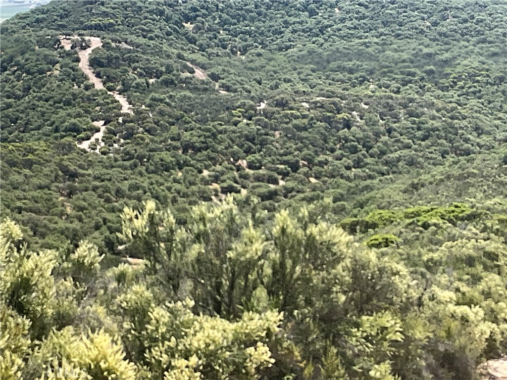 105 Paulsen Road King City, CA 93930 - Photo 7 of 25 a view of a tree