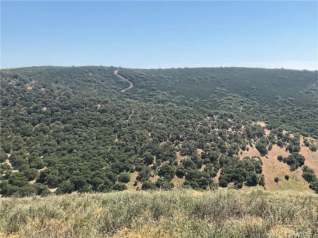 105 Paulsen Road King City, CA 93930 - Photo 10 of 25 a view of outdoor space and mountain view