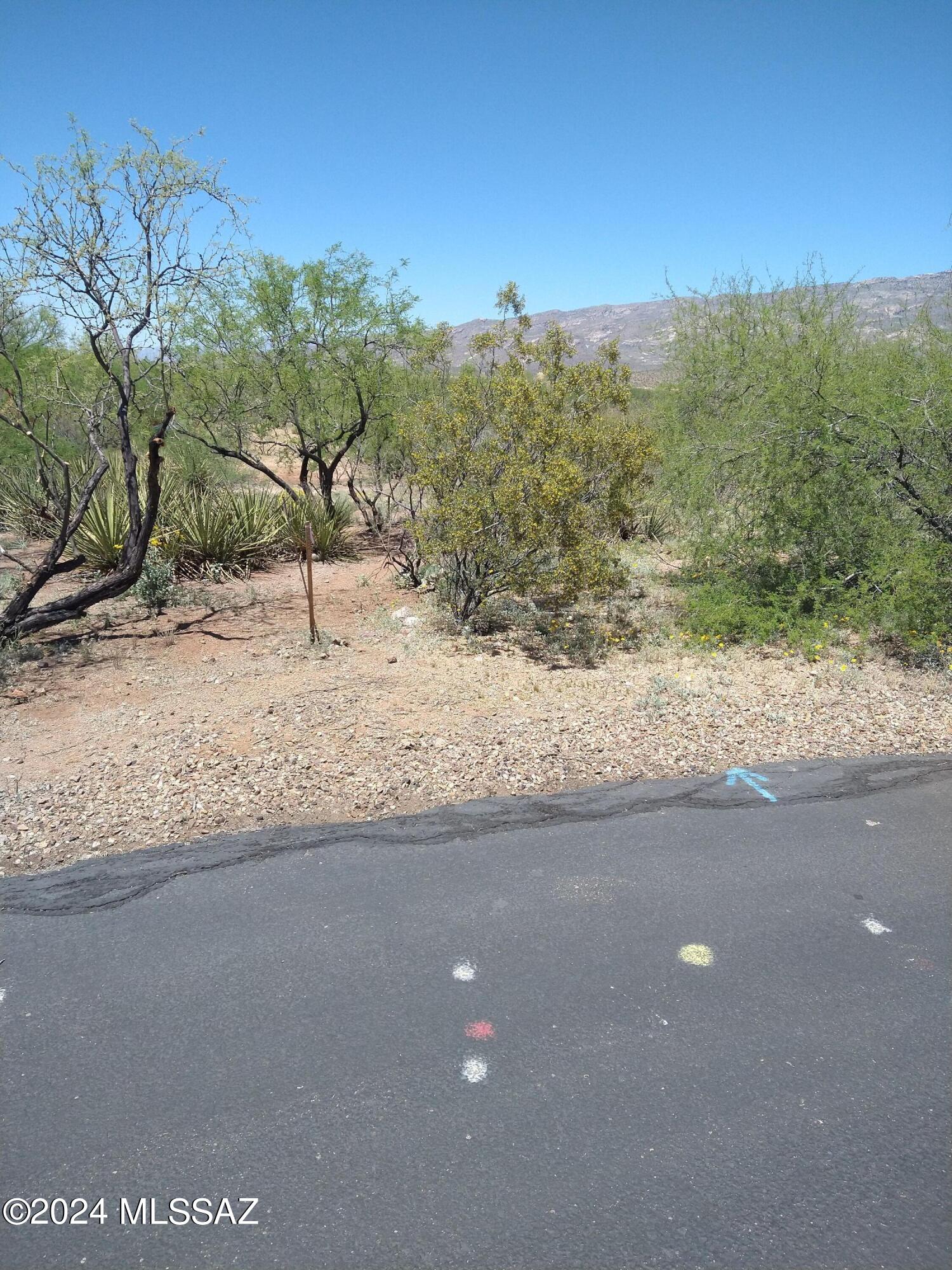 8616 South Sun Bar Ranch Place, Unit L72 Vail, AZ 85641 - Photo 2 of 2 Gallery Image 2