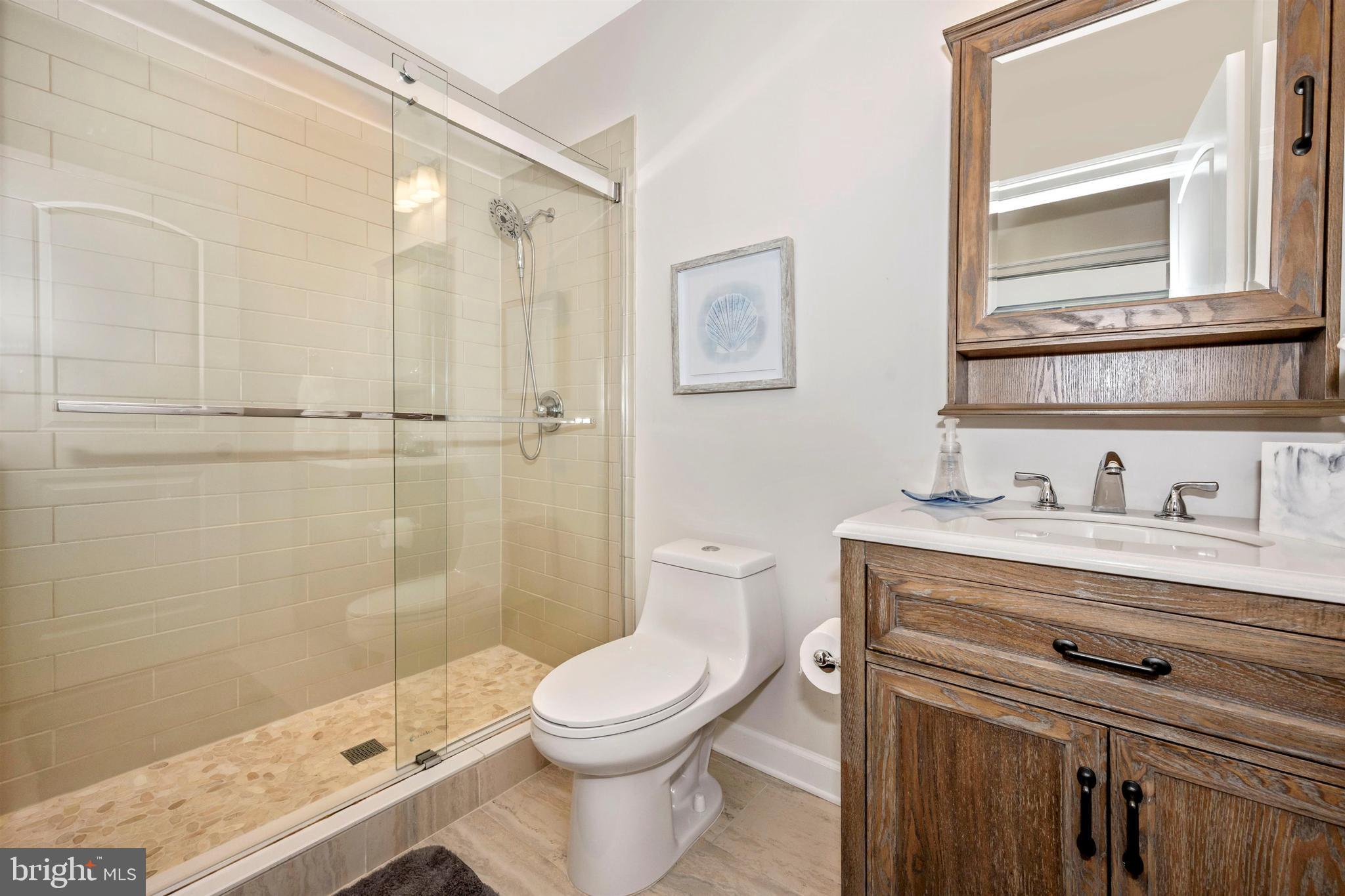 2972 Levee Drive Odenton, MD 21113 - Photo 47 of 55 Full bath in basement