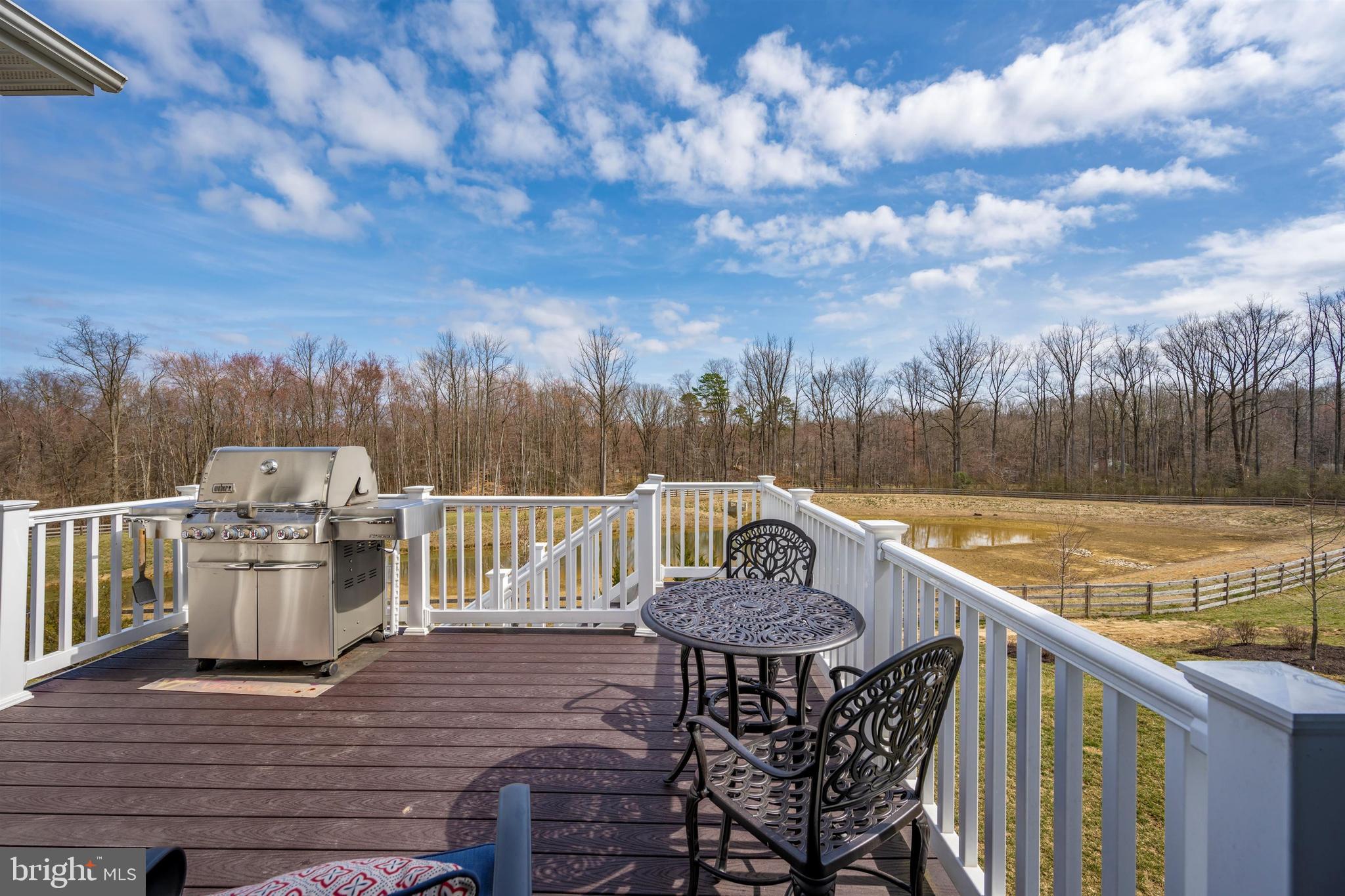 2972 Levee Drive Odenton, MD 21113 - Photo 10 of 55 Deck