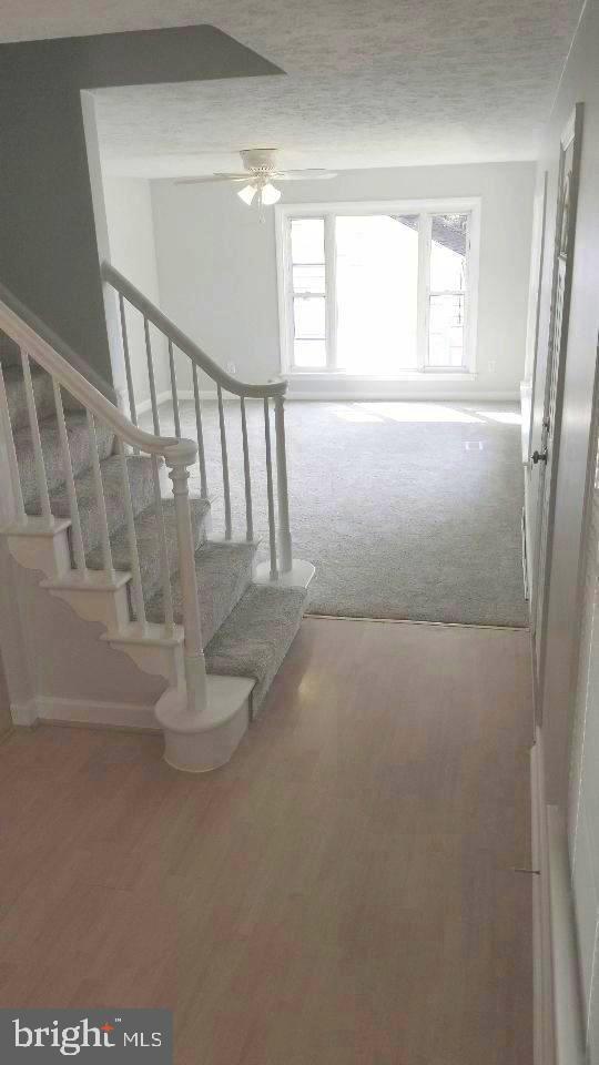 7732 West A W Shore Road Pasadena, MD 21122 - Photo 5 of 43 Entry