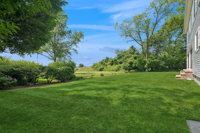 a view of a garden with a tree