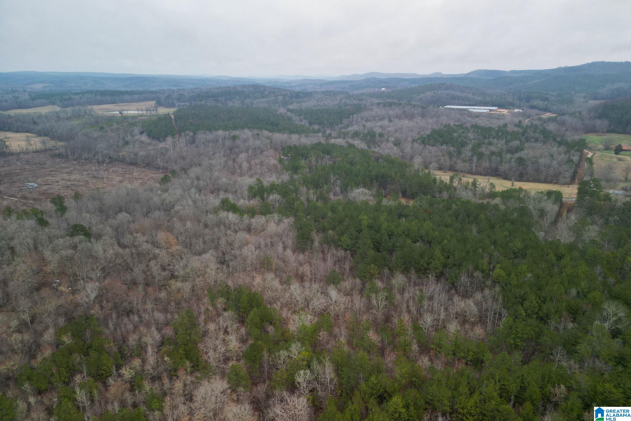0 Highway 49 Lineville, AL 36266 - Photo 15 of 18