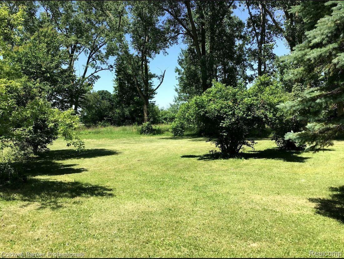 4094 West Willard Road Birch Run, MI 48415 - Photo 8 of 59 land 1.JPG