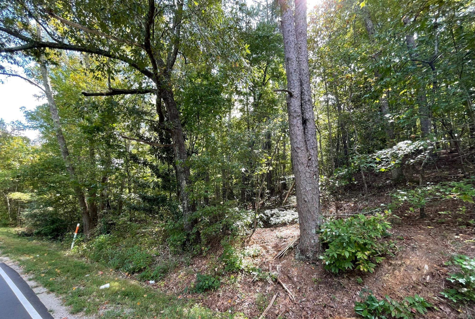 6 Kittrell Road Kittrell, NC 27544 - Photo 4 of 5 Photo 4