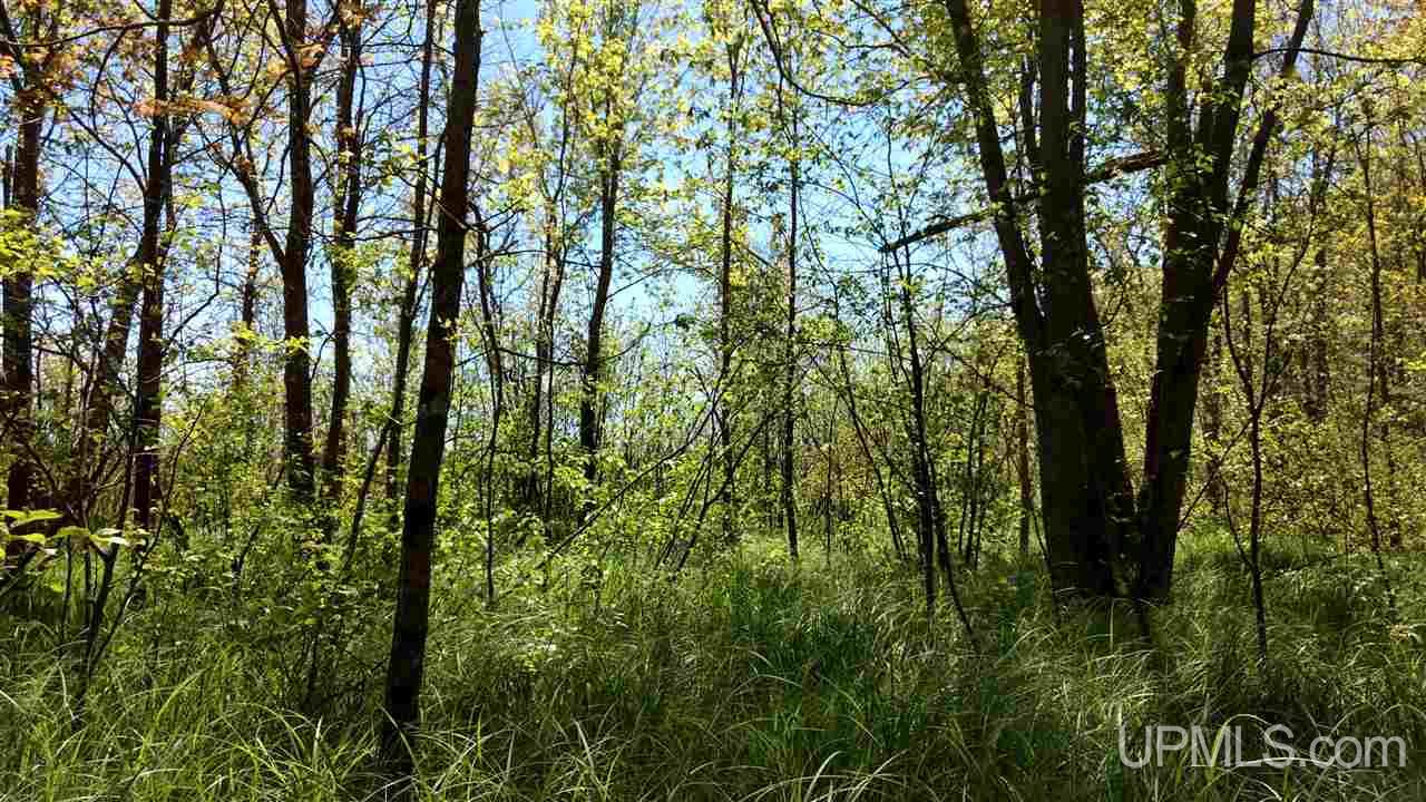 Tbd Tower Road Baraga, MI 49908 - Photo 2 of 12 Gallery Image 2