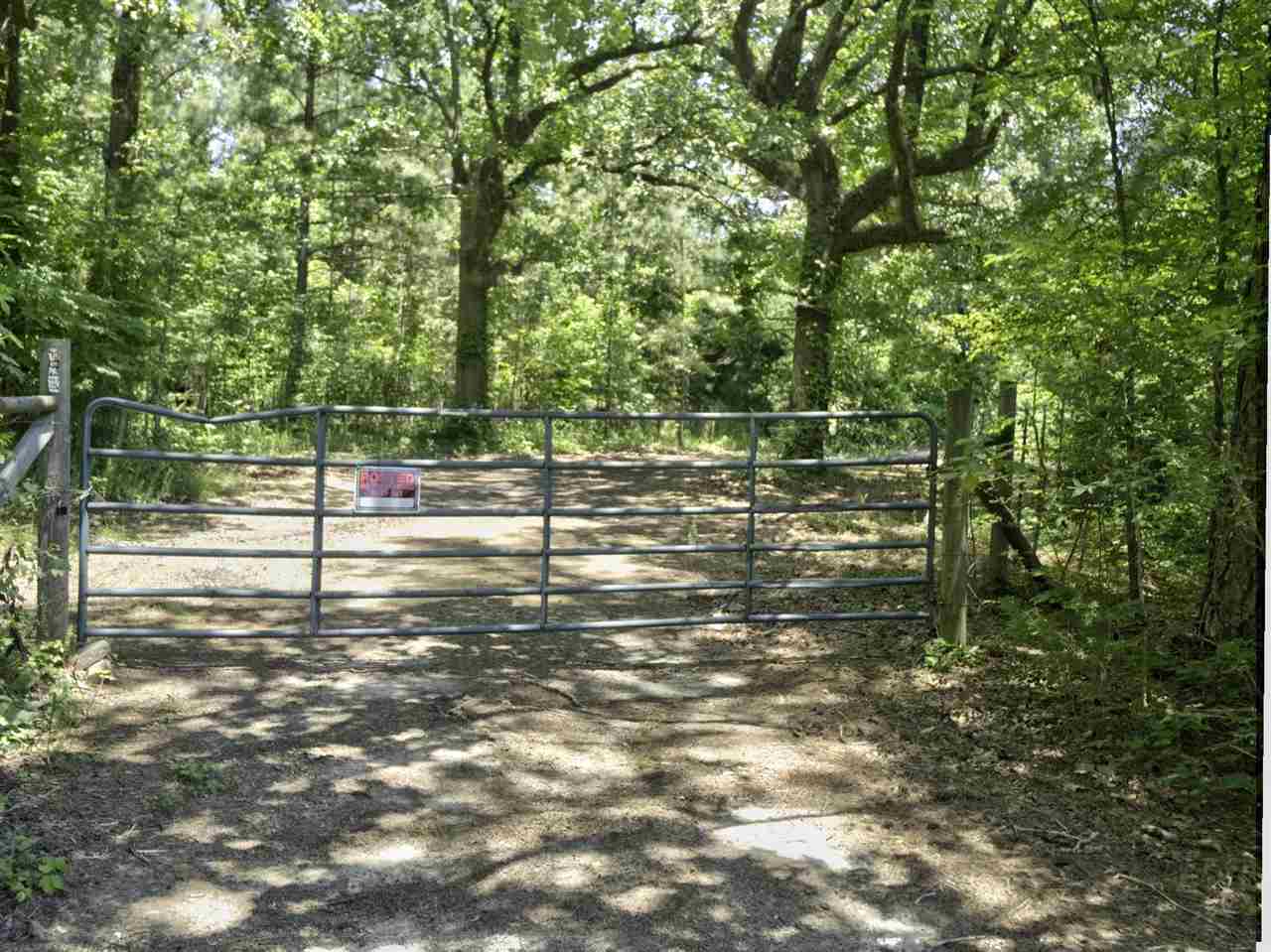 3294 Pine Grove Road Ashland, MS 38603 - Photo 1 of 17