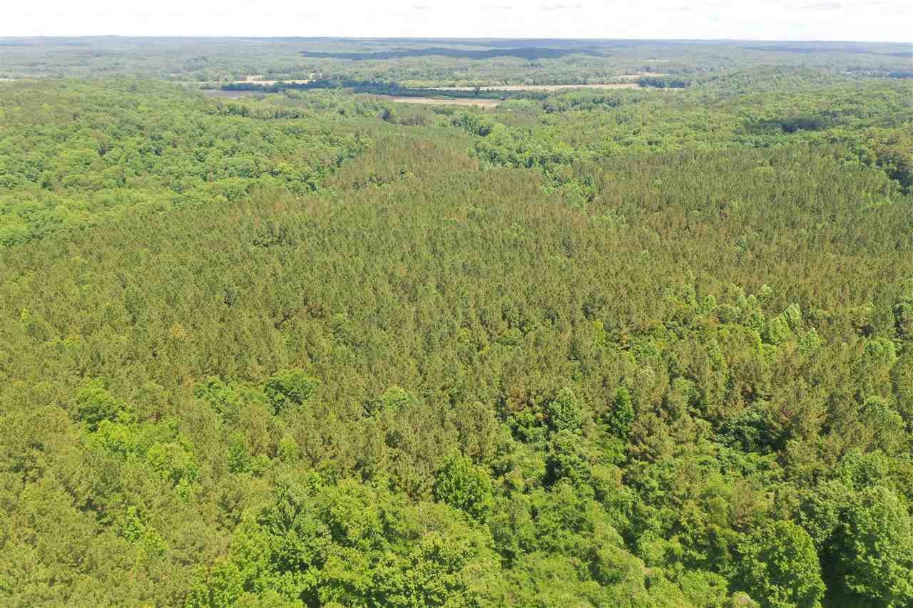 3294 Pine Grove Road Ashland, MS 38603 - Photo 12 of 17