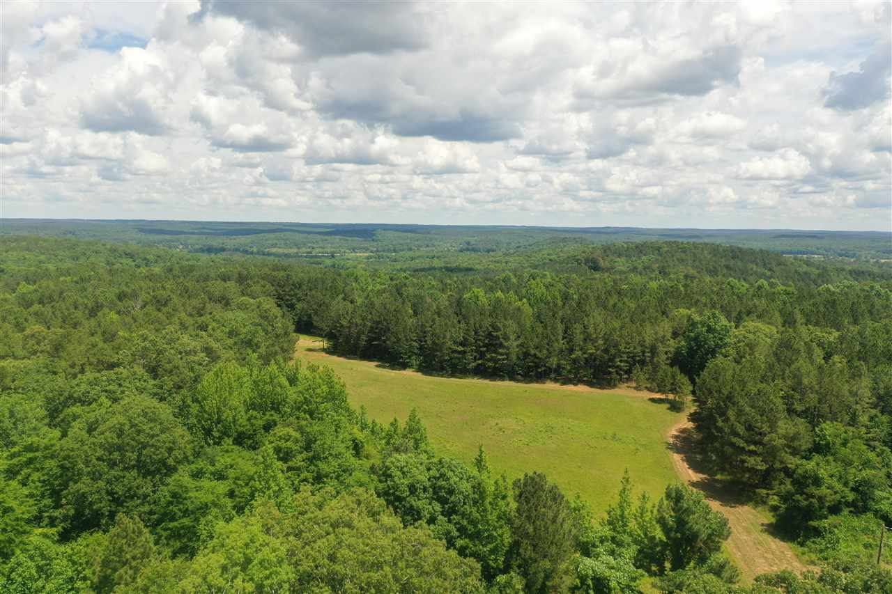 3294 Pine Grove Road Ashland, MS 38603 - Photo 3 of 17