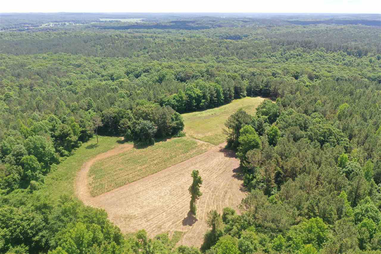3294 Pine Grove Road Ashland, MS 38603 - Photo 5 of 17