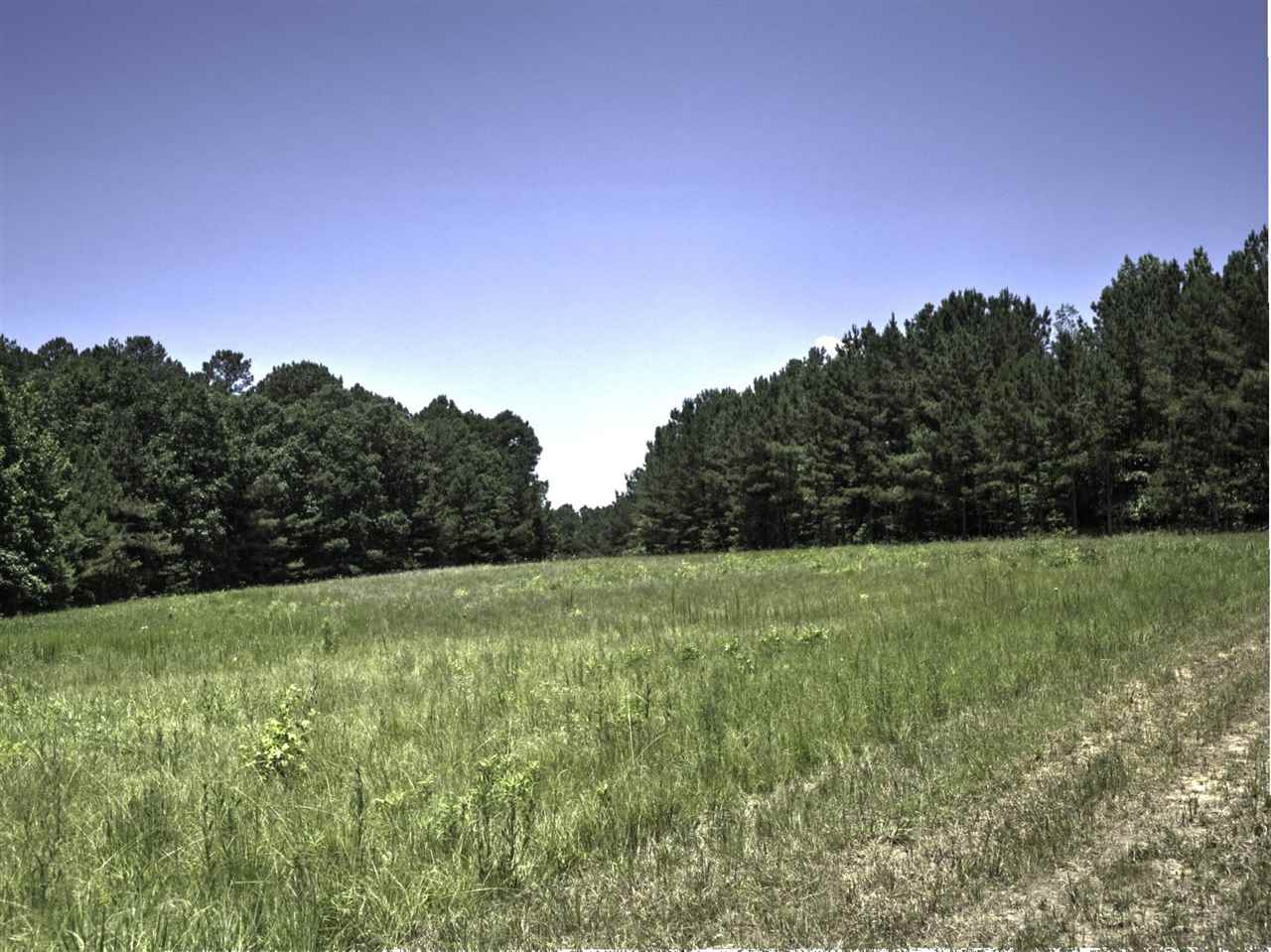 3294 Pine Grove Road Ashland, MS 38603 - Photo 8 of 17