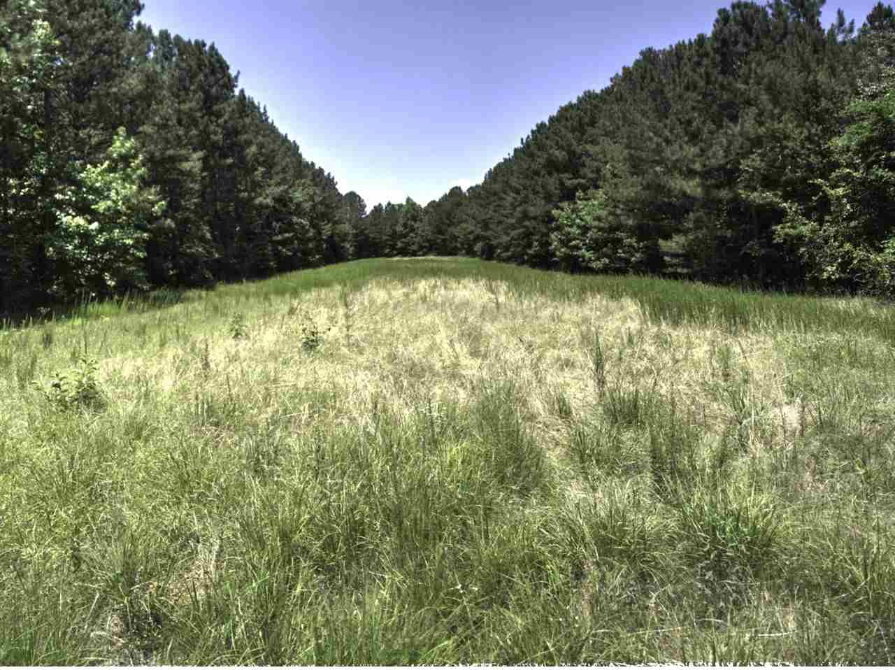 3294 Pine Grove Road Ashland, MS 38603 - Photo 9 of 17