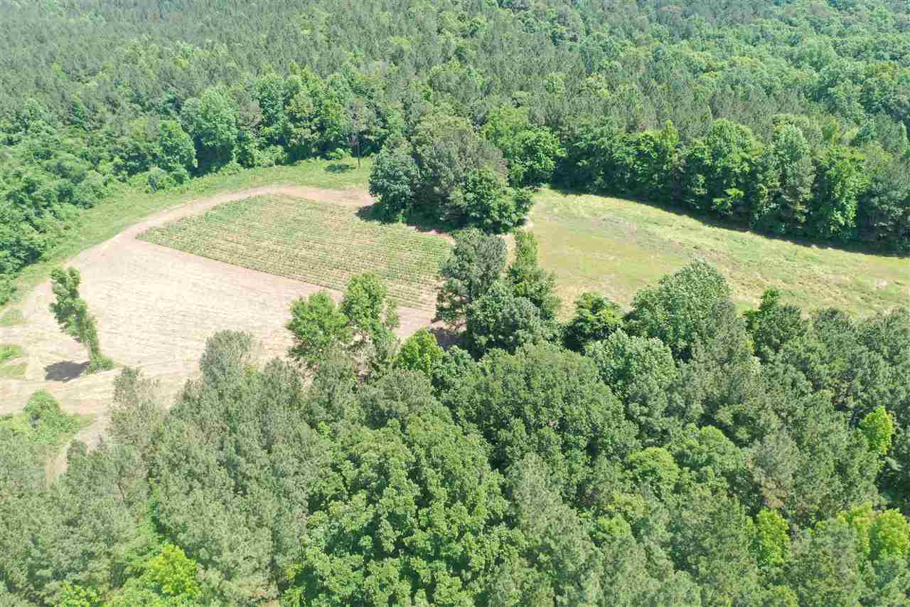 3294 Pine Grove Road Ashland, MS 38603 - Photo 10 of 17